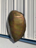 32" Green Turtle Shell Half Mount Replica