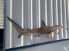 67" Hammerhead Shark Full Mount - IN STOCK