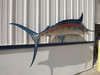 120 inch blue marlin two sided fish mount