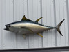 48 inch yellowfin tuna reproduction for sale in stock