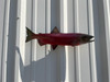 17 Inch Kokanee Salmon Fish Mount - Side View