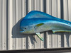 48 inch blue bull dolphin fish replica