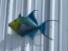 In Stock 24 Inch Queen Triggerfish Fish Mount - Flank View