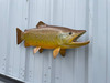 27 inch brown trout fish replica