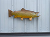 27 inch brown trout fish mount replica for sale