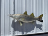 36 inch snook #2 mount for sale