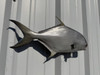 22 Inch Pompano Fish Mount - Flank View