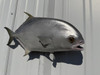 22 Inch Pompano Full Wall Mount Replica - Head View