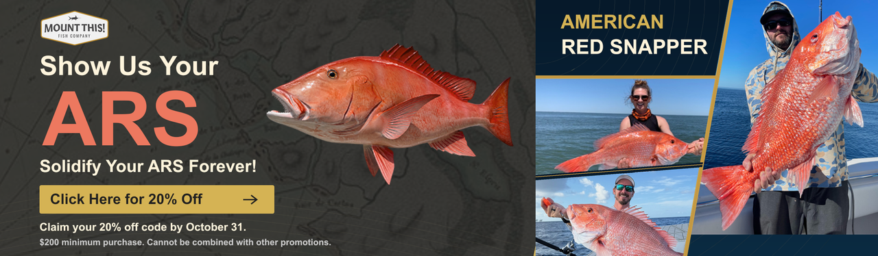 Red Snapper - ARS Preview