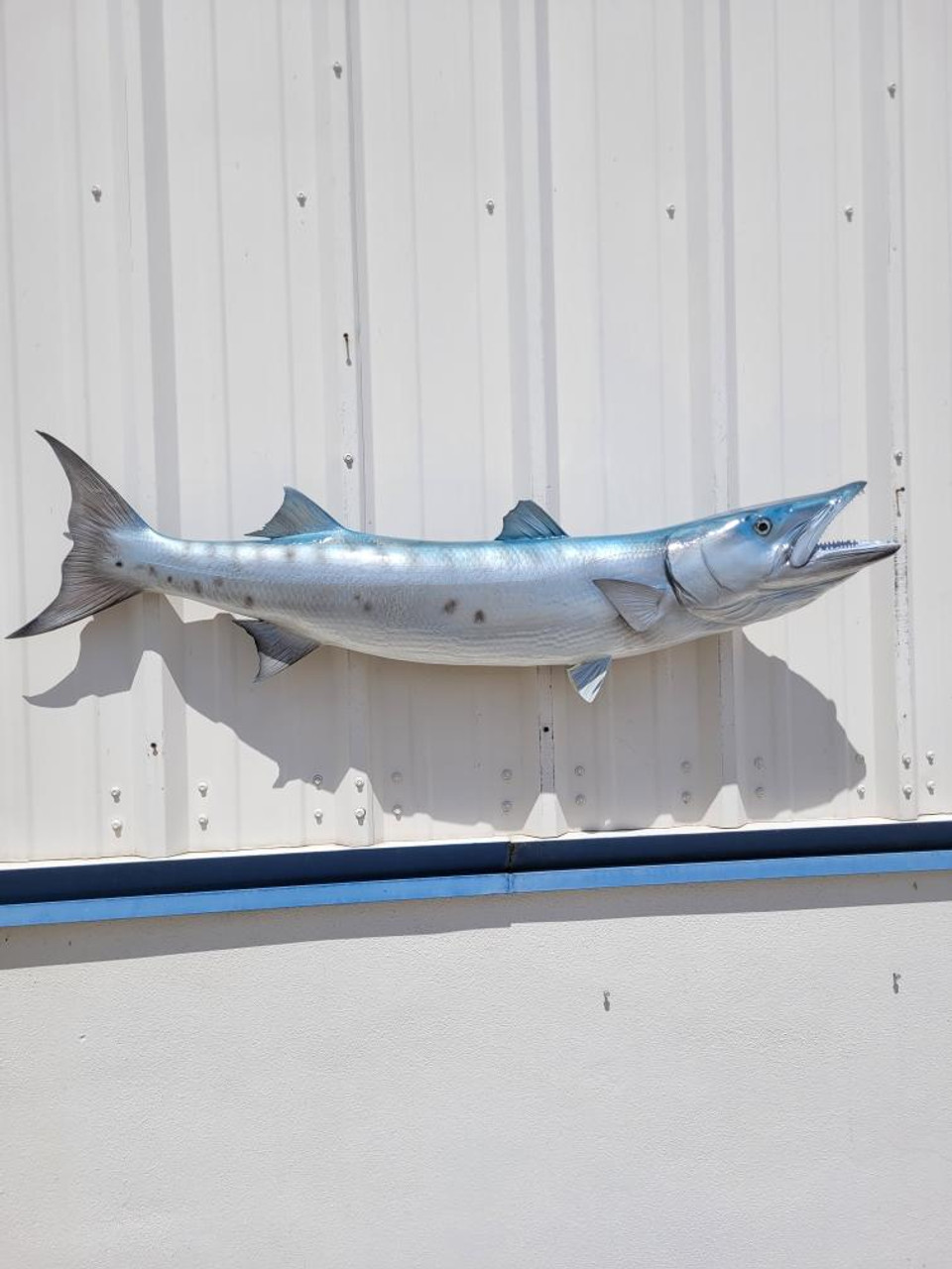55 Inch Barracuda Fish Mount Replica Reproduction For Sale
