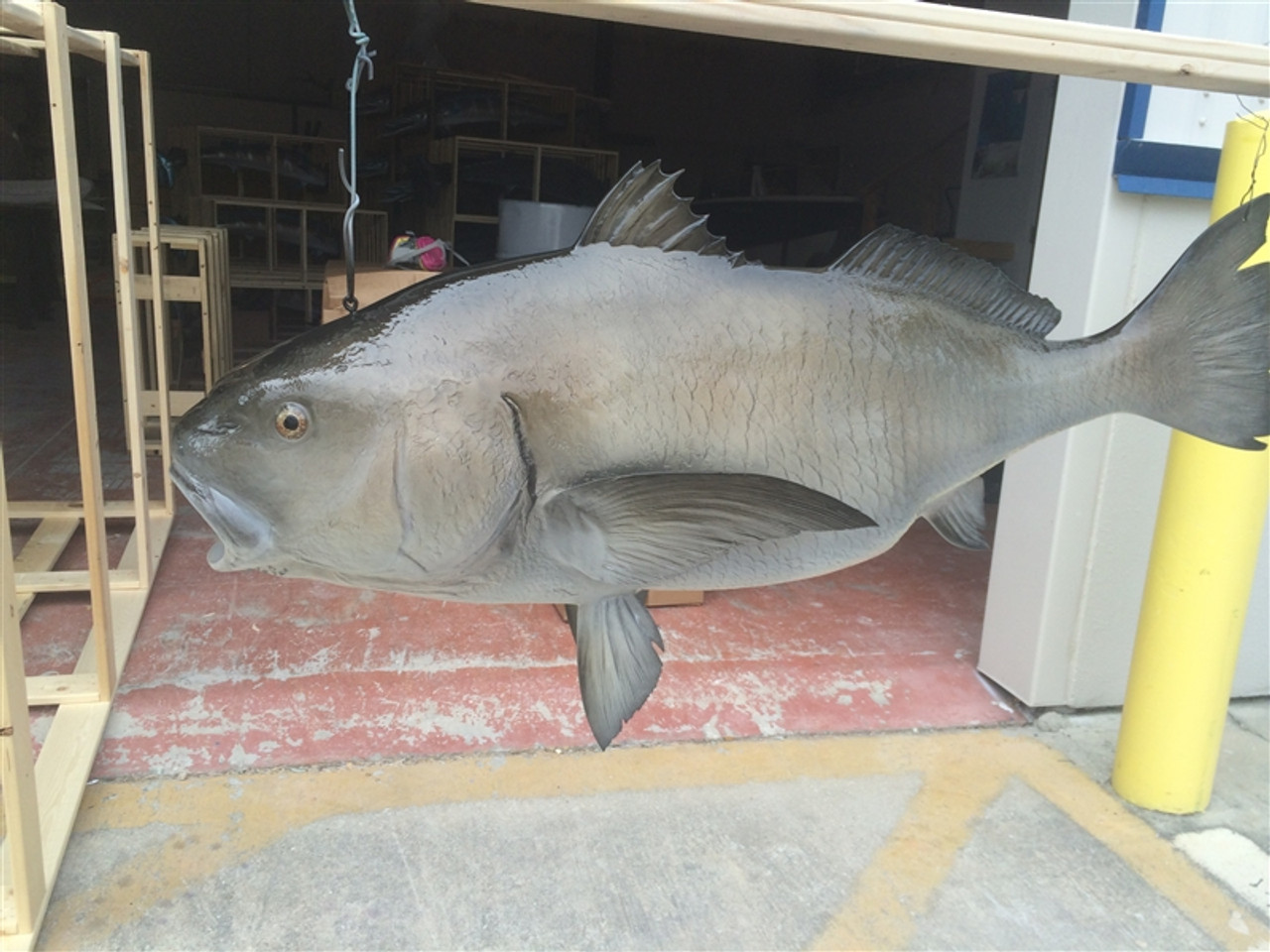 Pesce sospeso 3D con tamburo nero da 47 polliciPesce sospeso 3D con tamburo nero da 47 pollici  