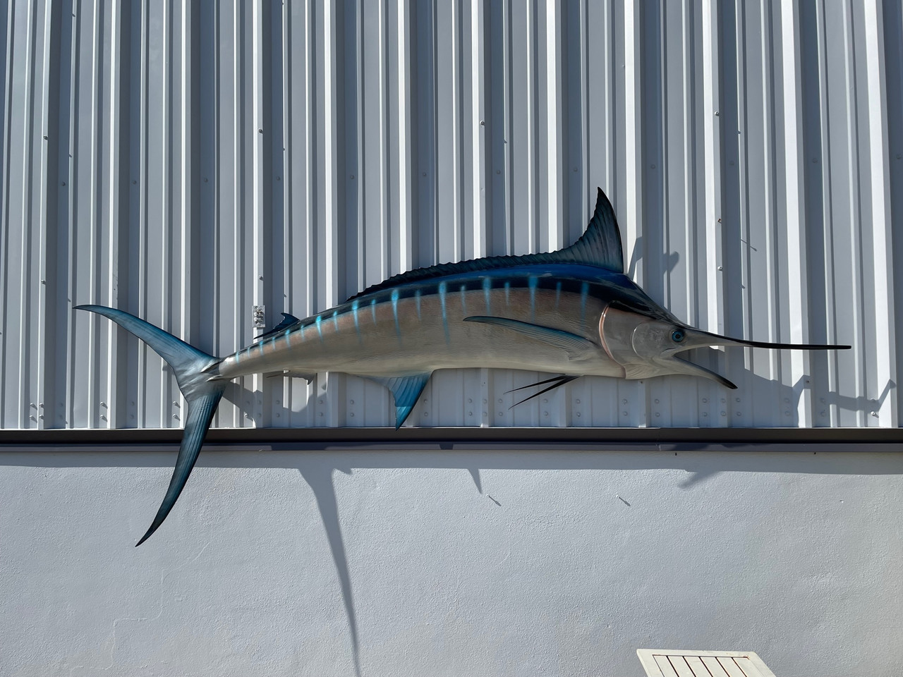 120 Inch Blue Marlin Half Mount Replica By Mount This