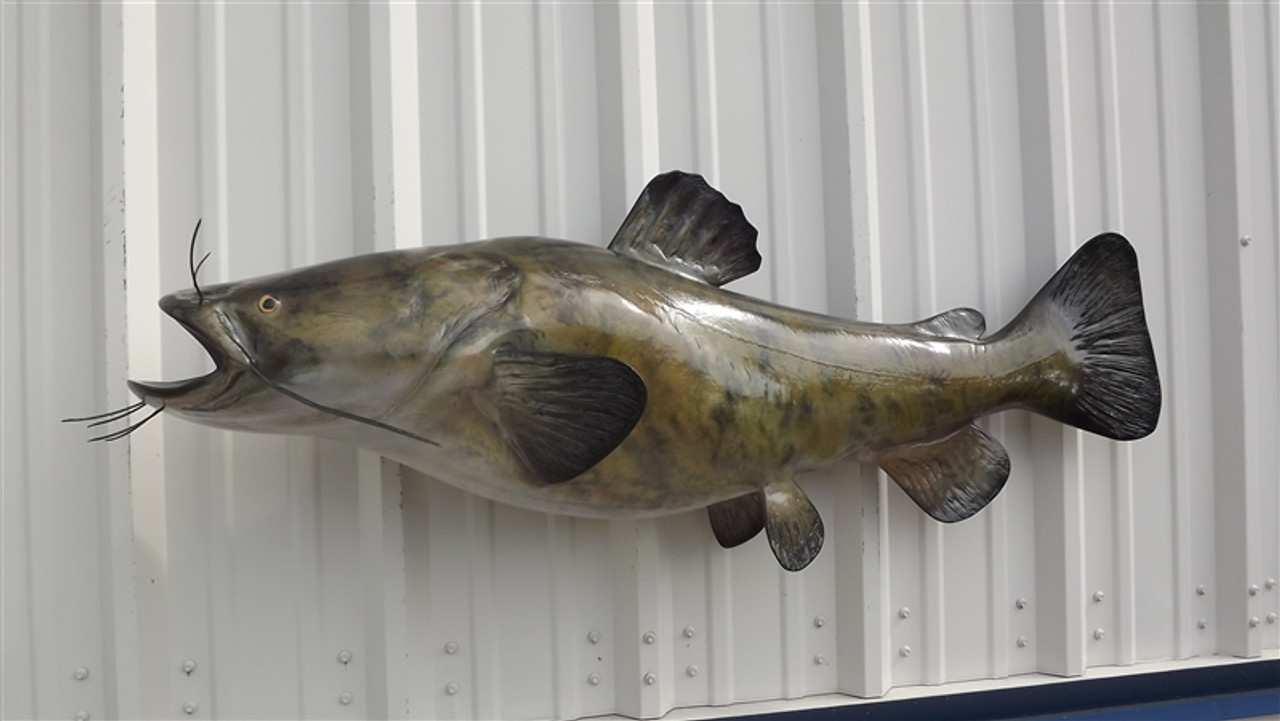 52 Inch Flathead Catfish Fish Mount Replica Reproduction For Sale