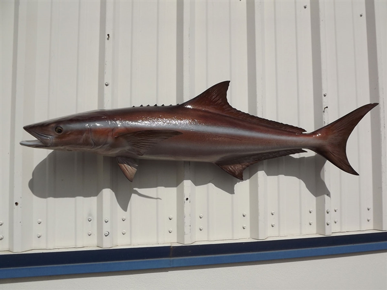 48 Inch Cobia Mount 48 Inch Cobia Full Mount 48 Inch Cobia Replica