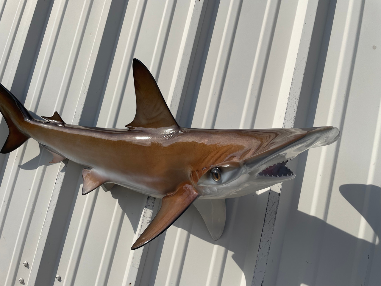 48 Inch Hammerhead Shark Mount Replica Reproduction For Sale