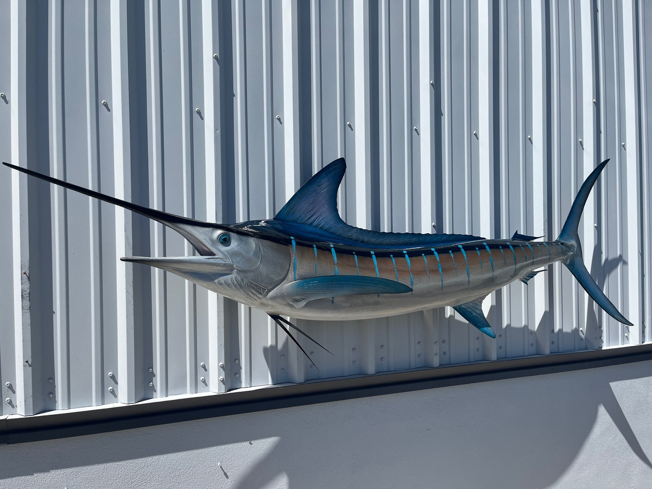  Fish Wall Decor Blue Marlin Fish Pictures Saltwater
