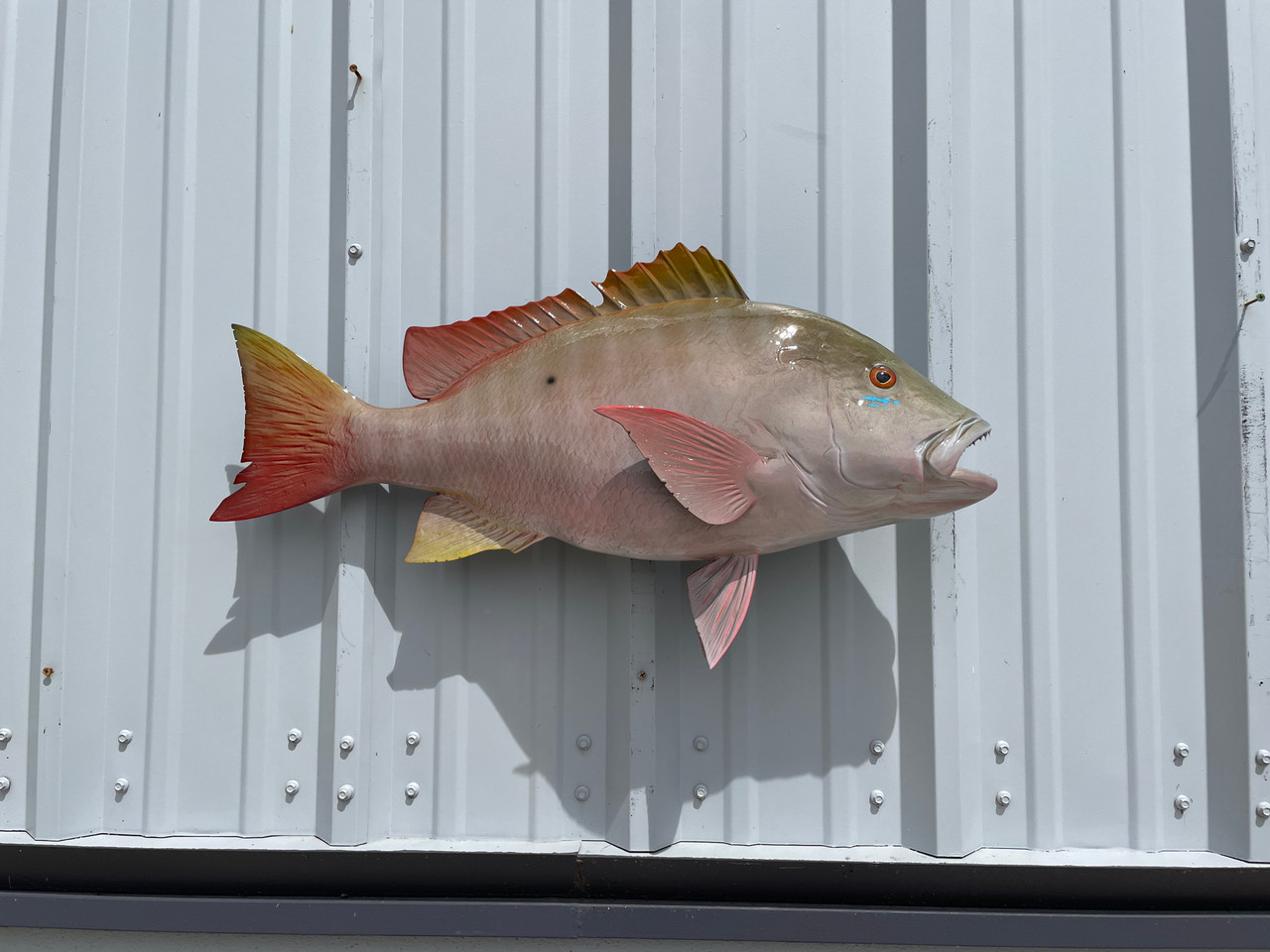 30 Inch Mutton Snapper Fish Mount 30 Inch Mutton Snapper Fish Replica