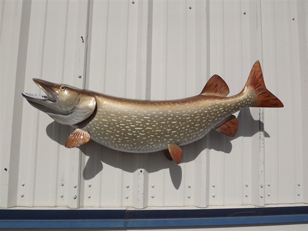 45-Inch Northern Pike Fish Mount