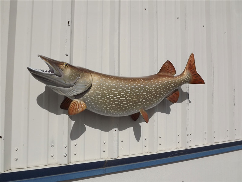 45 Inch Northern Pike Fish Mount Replica Reproduction For Sale