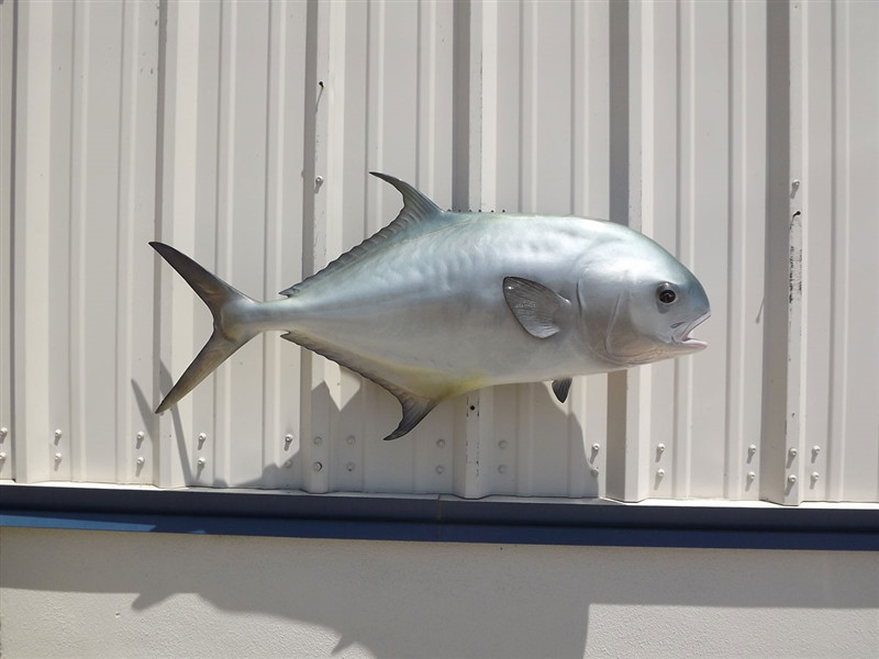 mounted wall fish