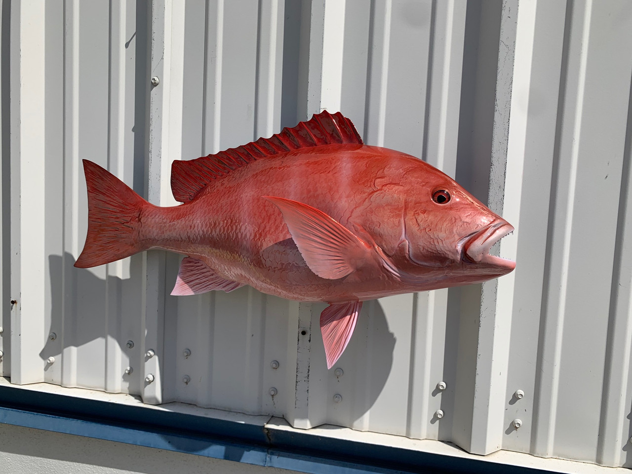 30 Inch Red Snapper Mount Replica Reproduction For Sale