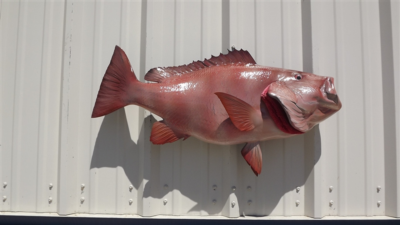 32-inch Red Snapper - Fish Mounts