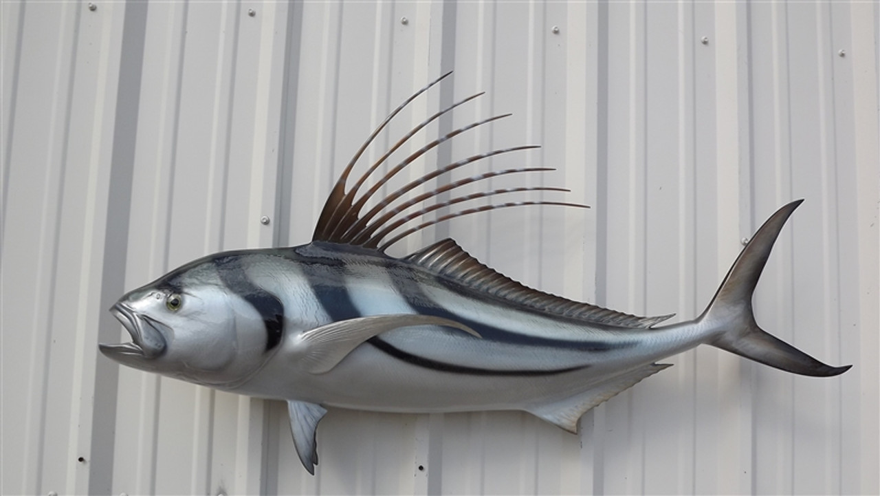 49 Roosterfish Full Mount