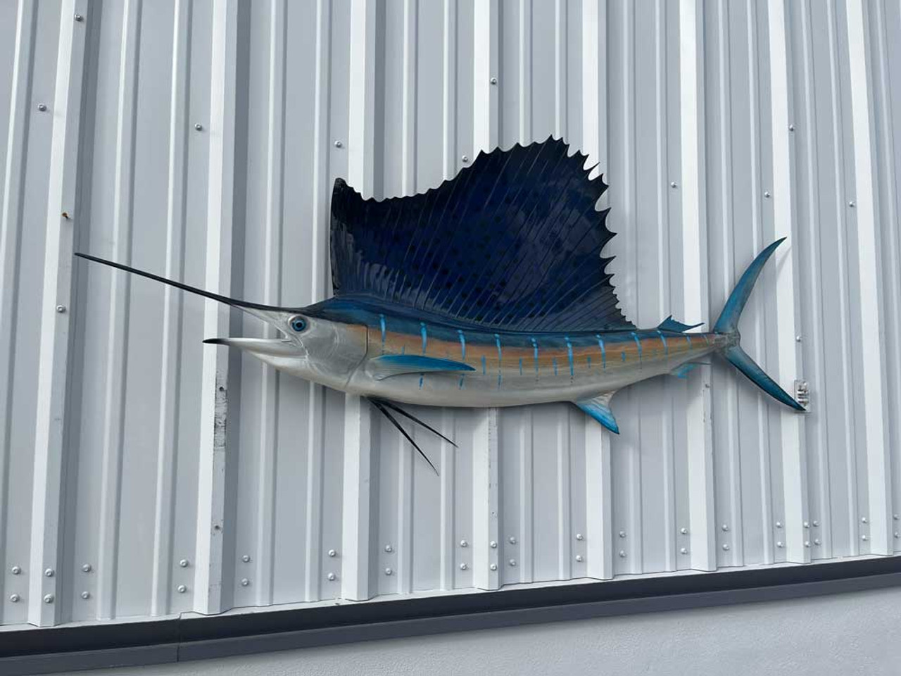 71 Inch Sailfish Half Sided Fish Mount Replica Reproduction