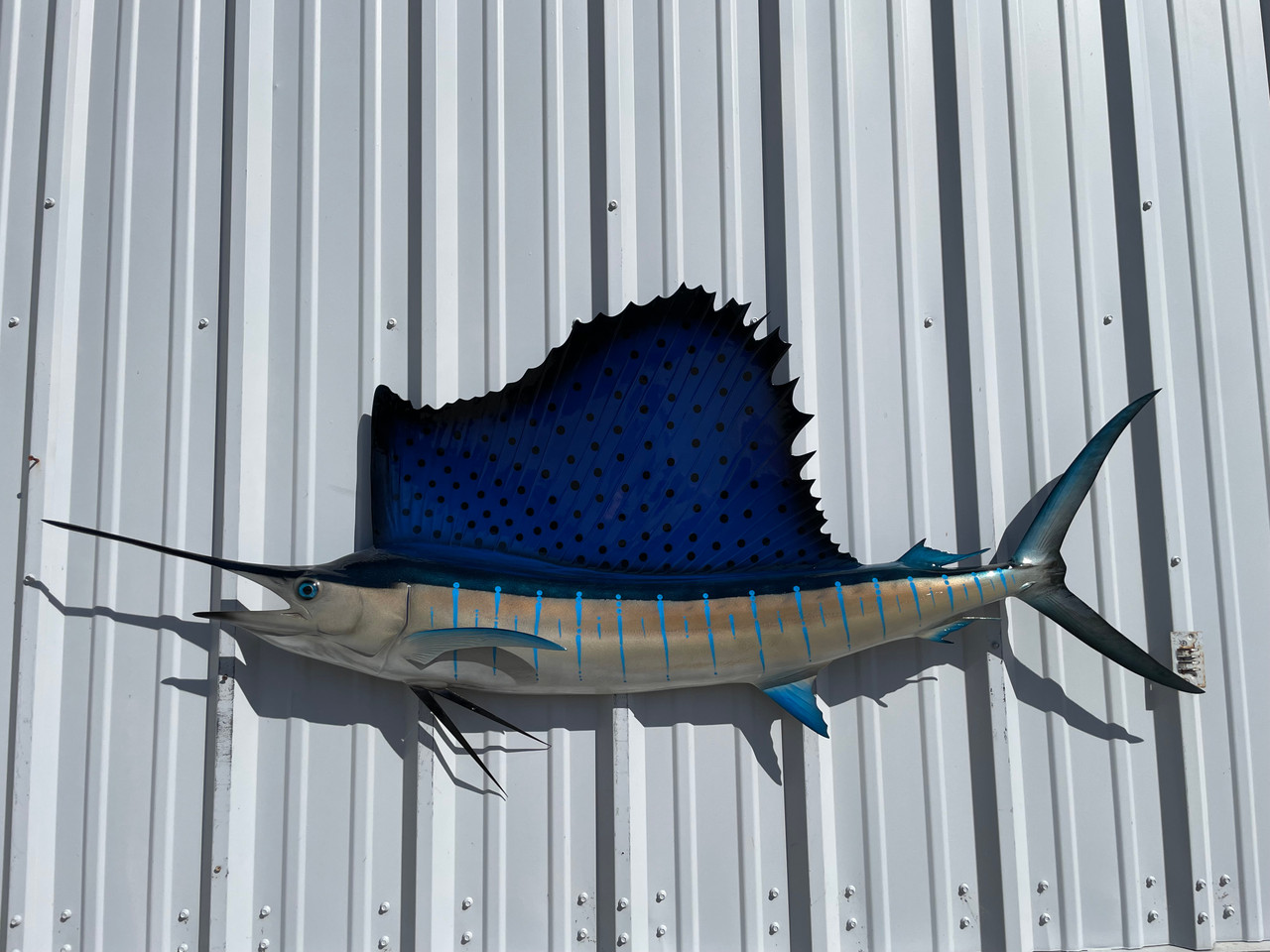 71 Inch Sailfish Half Sided Fish Mount Replica Reproduction