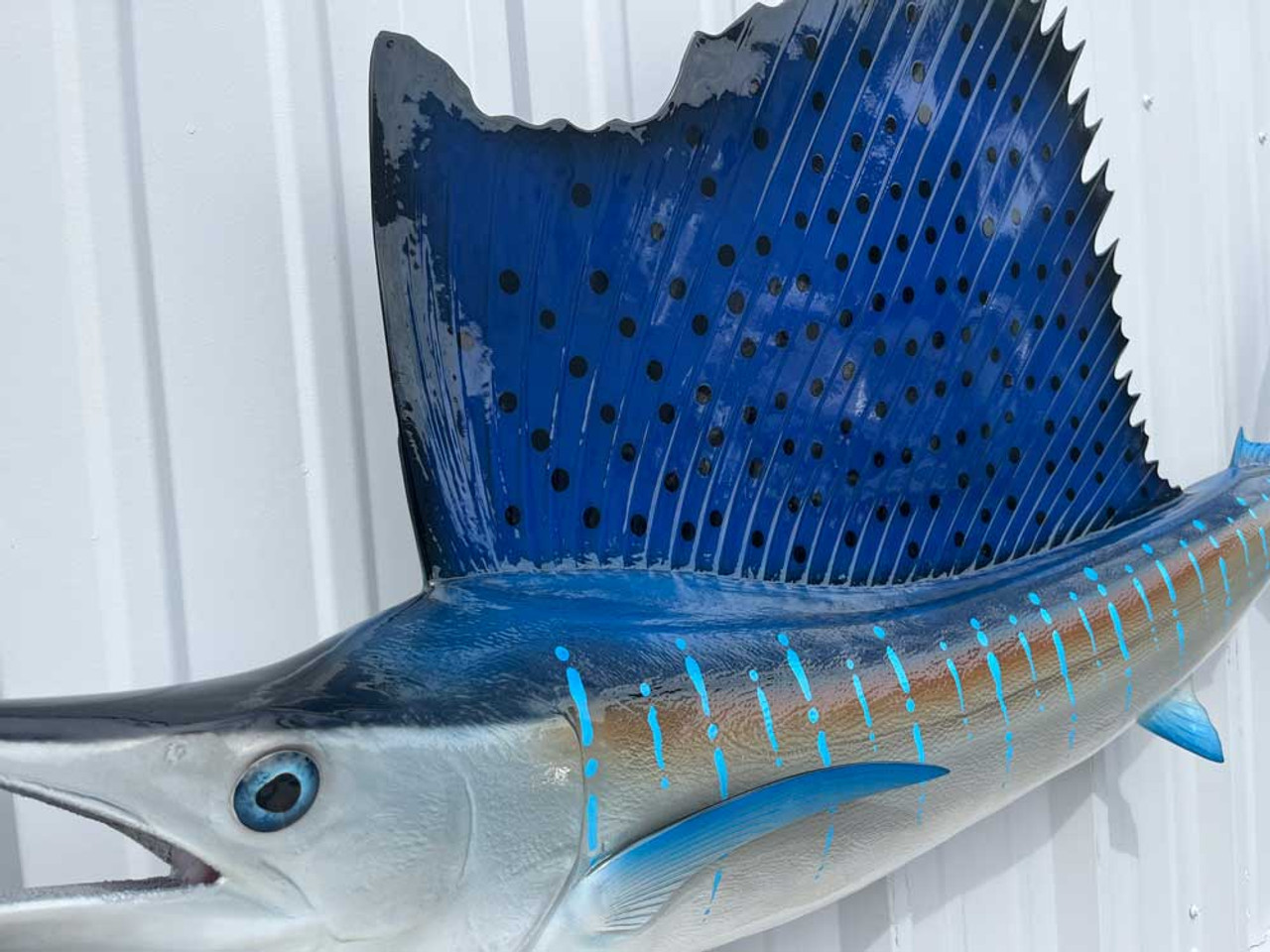 75 Inch Atlantic Sailfish Fish Mount Replica by Mount This Fish