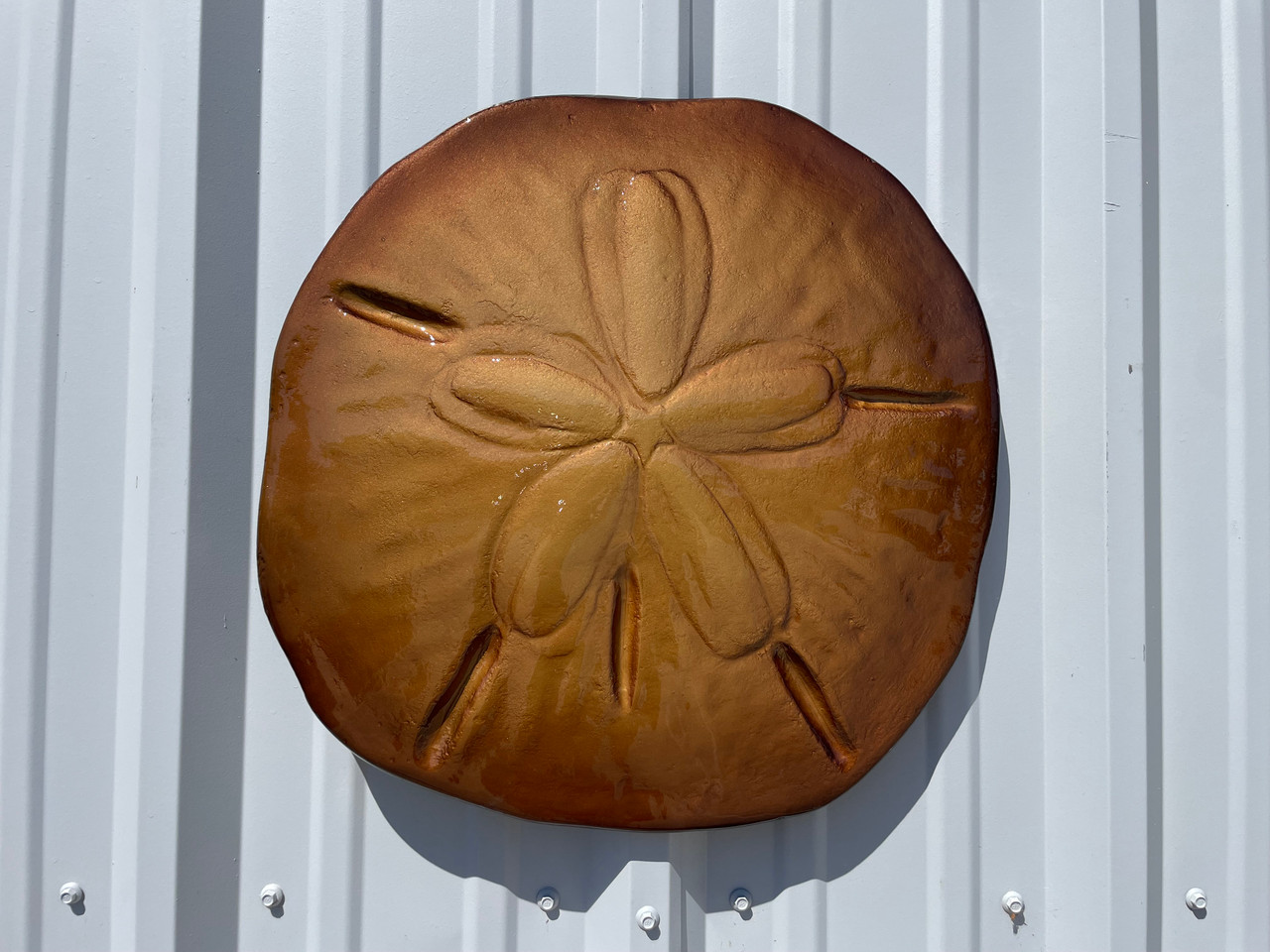 19 Inch Brown Sand Dollar Half Sided Fish Mount Replica Reproduction