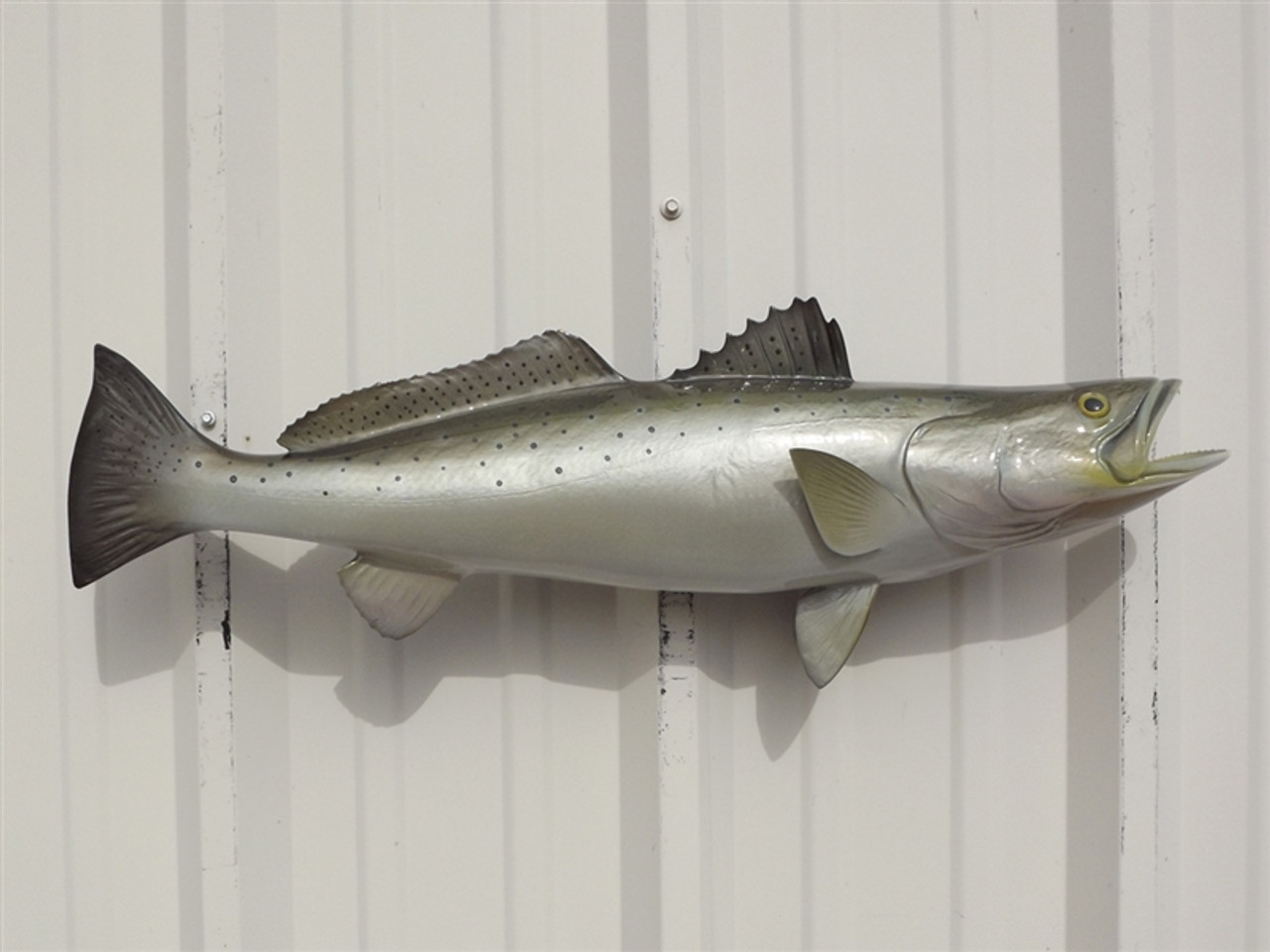 Seatrout Fish Mount - 28 Two Sided Wall Mount Fish Replica