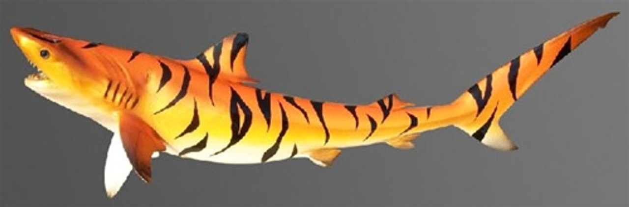 51 Inch Black Striped Hot Rod White Orange Tiger Shark Mount Replica