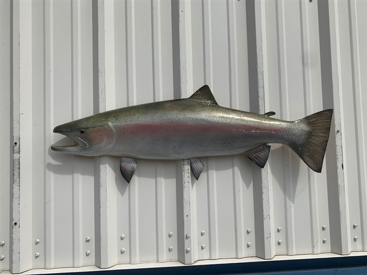 39 Steelhead Trout Half Mount Fish Replica