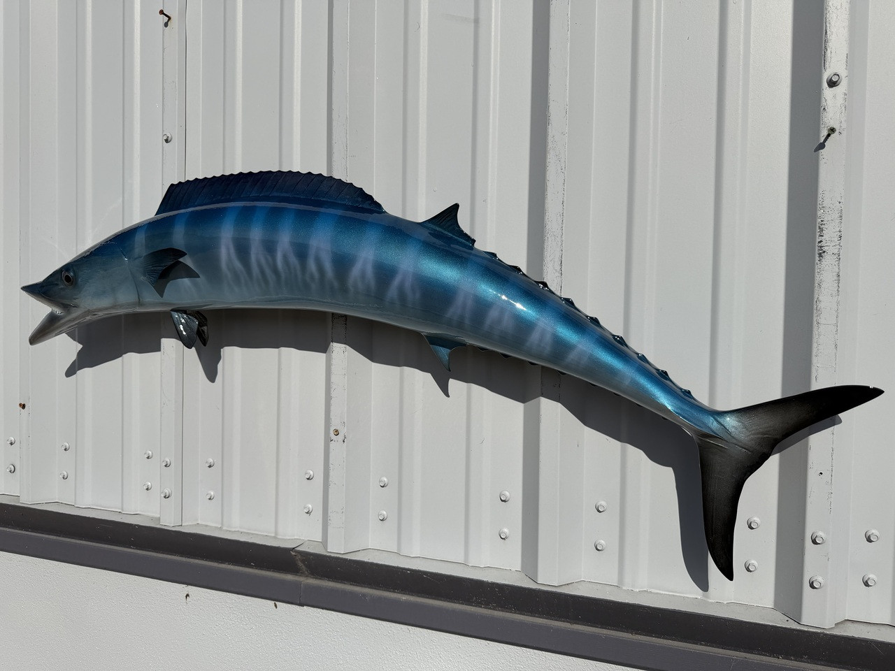 48 Inch In Stock Wahoo Fish Mount | 48 Inch Wahoo Fish Replica For Sale ...