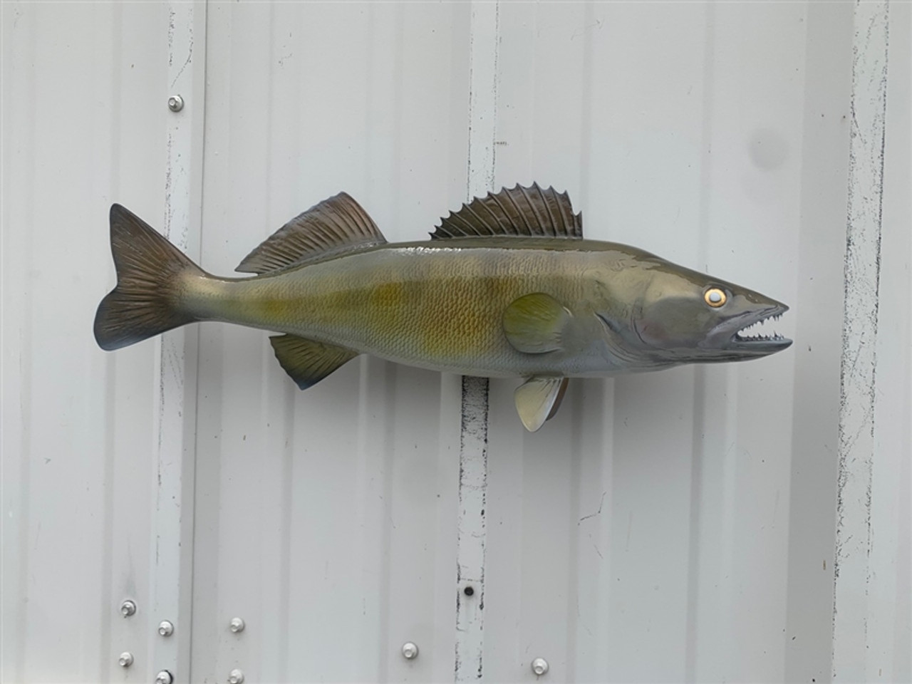 Taking Photos for Your Replica Fish Mount - Coastal Angler & The