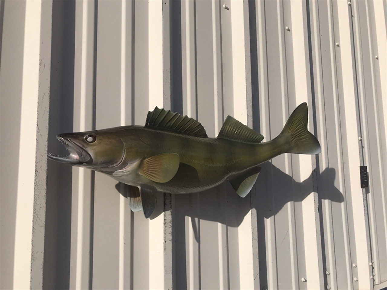 Walleye Fish Mount Two Sided Wall Mount Fish Replica - 29 Inches