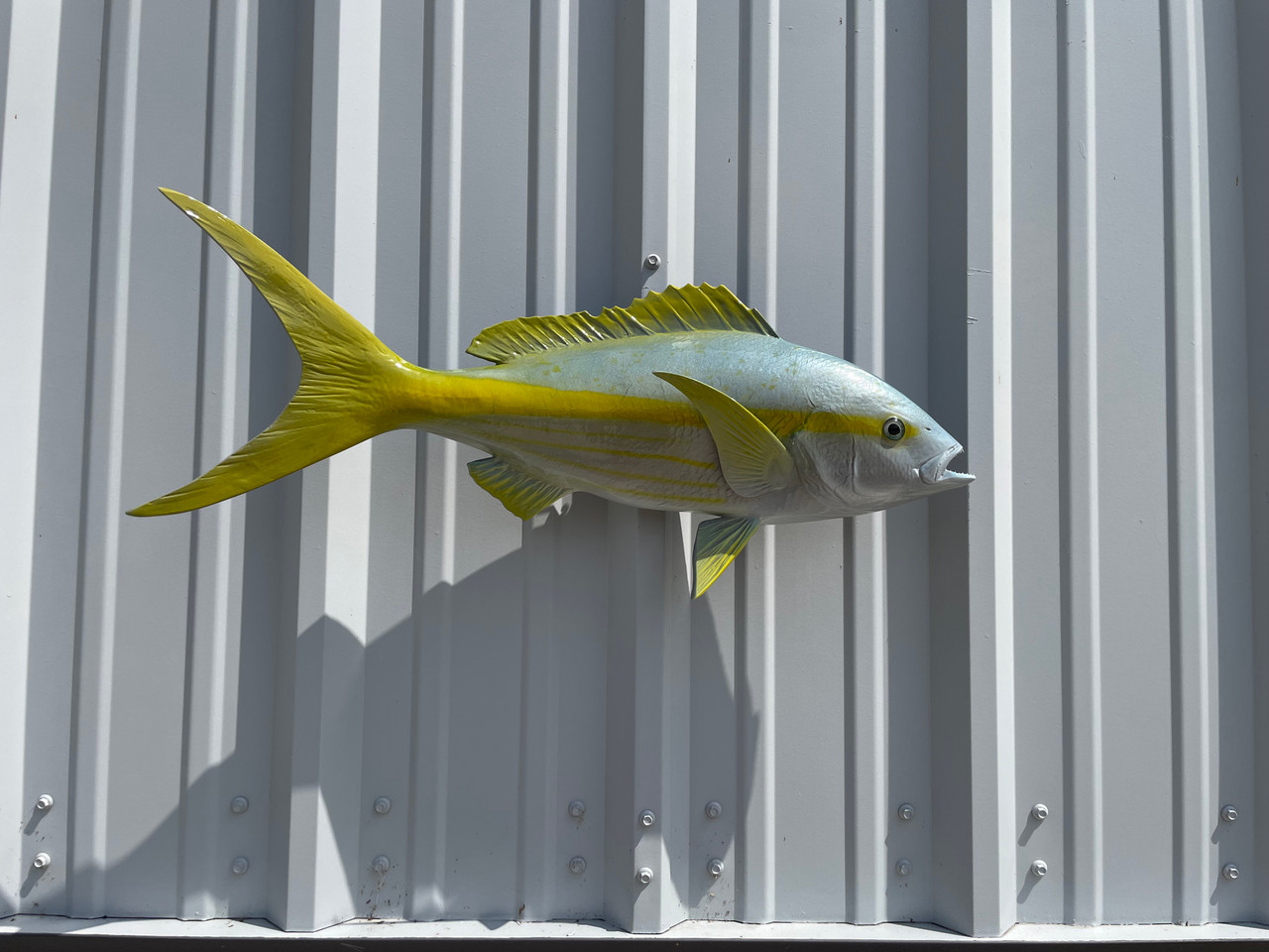 beach snook fishing lures How To Catch More Snook Fish