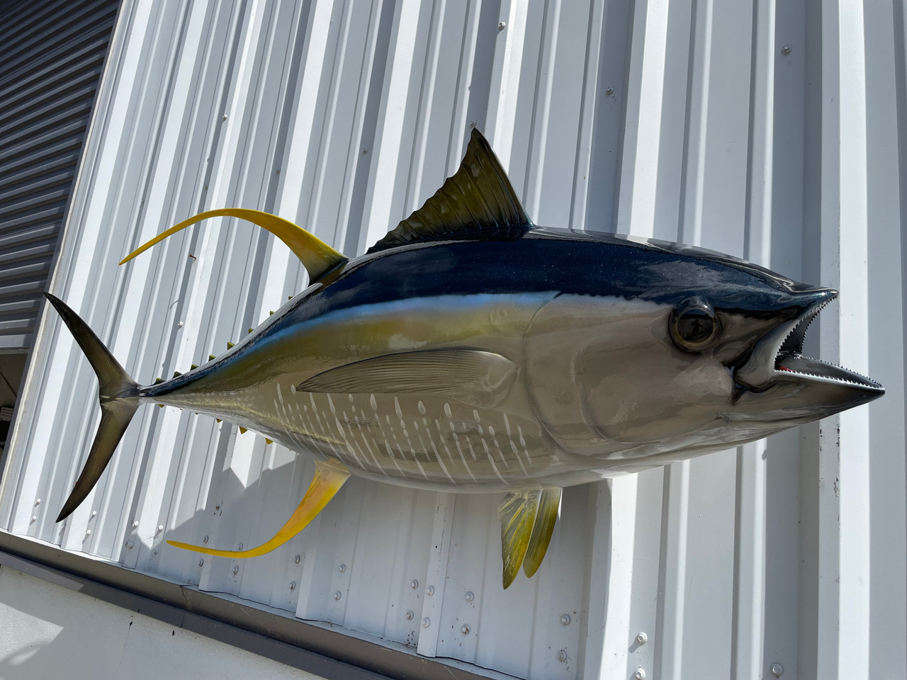 67 Inch Yellowfin Tuna Fish Mount Replica | In Stock & For Sale