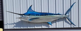 110" Blue Marlin and 60" Bull Dolphin Full Mount Fish Replicas Customer Proofs 22505
