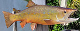 17 Inch Brook Trout Fish Mount Production Proofs - Invoice #21345