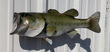 23" Largemouth Bass Full Mount Fish Replica Customer Proofs 21937