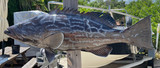  33 Inch Black Grouper Fish Mount Production Proofs - Invoice #21632