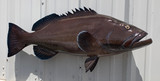 38 Inch Black Grouper Fish Mount Production Proofs - Invoice #21793