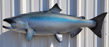 40 Inch King Salmon Fish Mount Production Proofs - Invoice #21766