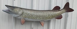 41" Northern Pike Full Mount Fish Replica Customer Proofs 21983