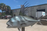 43 Inch Roosterfish Fish Mount Production Proofs - Invoice #21770