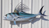 49" Roosterfish Full Mount Fish Replica Customer Proofs 22158