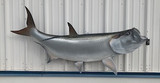 74" Tarpon Full Mount Fish Replica Customer Proofs 21874