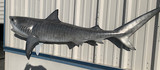 81" Tiger Shark Full Mount Shark Replica Customer Proofs 21823